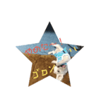 チワワのチコちこちゃん3（個別スタンプ：2）