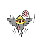 オカメインコ ノーマル（個別スタンプ：6）