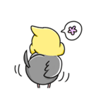 オカメインコ ノーマル（個別スタンプ：10）