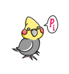 オカメインコ ノーマル（個別スタンプ：15）