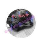 ジャンプくんとお呼びください（個別スタンプ：1）