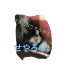 ジャンプくんとお呼びください（個別スタンプ：4）