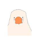 きんかちょう（個別スタンプ：5）