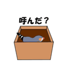 きんかちょう（個別スタンプ：12）