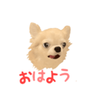 モナカちゃんのオリジナルVIPスタンプ（個別スタンプ：3）
