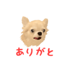 モナカちゃんのオリジナルVIPスタンプ（個別スタンプ：7）