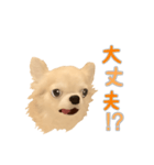 モナカちゃんのオリジナルVIPスタンプ（個別スタンプ：13）