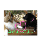 ベス＆キャディー（個別スタンプ：5）