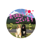 ベス＆キャディー（個別スタンプ：10）