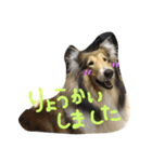 ベス＆キャディー（個別スタンプ：11）