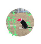 ベス＆キャディー（個別スタンプ：13）
