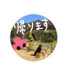 ベス＆キャディー（個別スタンプ：22）