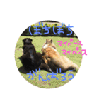 ベス＆キャディー（個別スタンプ：30）