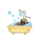 愛犬ナオ(チワックス)（個別スタンプ：23）