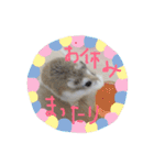 うちのロボハムちゃん（個別スタンプ：3）