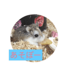 うちのロボハムちゃん（個別スタンプ：7）