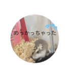 うちのロボハムちゃん（個別スタンプ：10）