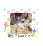 うちのロボハムちゃん（個別スタンプ：12）
