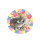 うちのロボハムちゃん（個別スタンプ：13）