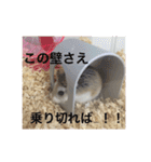 うちのロボハムちゃん（個別スタンプ：15）