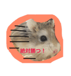 うちのロボハムちゃん（個別スタンプ：16）