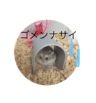 うちのロボハムちゃん（個別スタンプ：19）