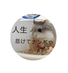 うちのロボハムちゃん（個別スタンプ：24）