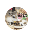 うちのロボハムちゃん（個別スタンプ：25）