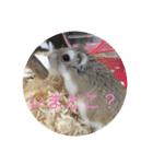 うちのロボハムちゃん（個別スタンプ：29）
