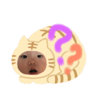 きーたんの気持ち（個別スタンプ：13）