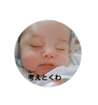 きょんたんといっしょ（個別スタンプ：13）