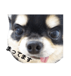 海くんの一言:2（個別スタンプ：6）