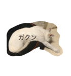 くぅたろー（個別スタンプ：1）