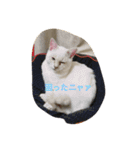 くぅたろー（個別スタンプ：2）