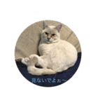 くぅたろー（個別スタンプ：7）