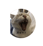 くぅたろー（個別スタンプ：8）