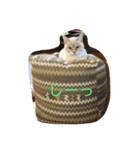 くぅたろー（個別スタンプ：10）