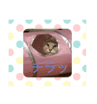 くぅたろー（個別スタンプ：13）
