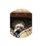 くぅたろー（個別スタンプ：14）