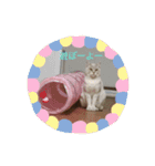 くぅたろー（個別スタンプ：15）