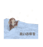 ぷりんスタンプ（個別スタンプ：7）