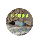 タイガとレオ②（個別スタンプ：7）