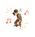 キャバリア〜キャンディ2〜（個別スタンプ：1）