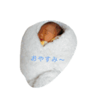 さき1（個別スタンプ：2）