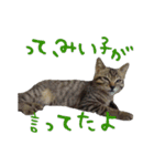 愛すべき無愛想みい子2（個別スタンプ：6）