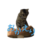 愛すべき無愛想みい子2（個別スタンプ：10）