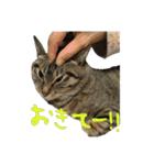 愛すべき無愛想みい子2（個別スタンプ：32）