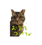 愛すべき無愛想みい子2（個別スタンプ：37）