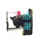 愛すべき無愛想みい子2（個別スタンプ：39）