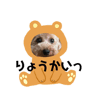 ルクの日常（個別スタンプ：4）